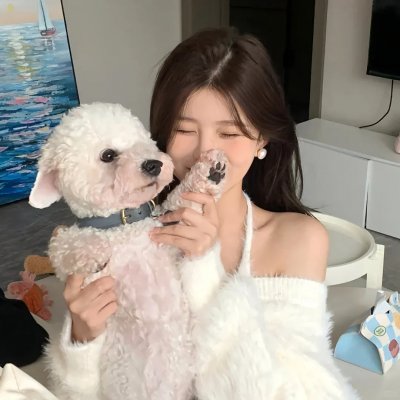 鹊刀门传奇