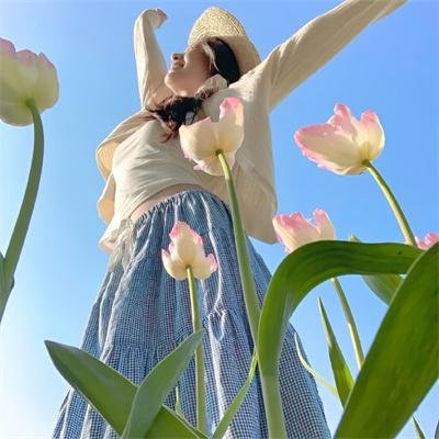 艾米莉亚2.0 封面