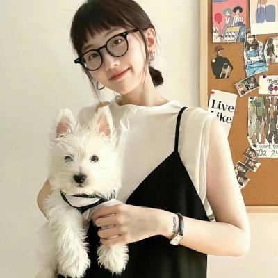虎鲨王 封面